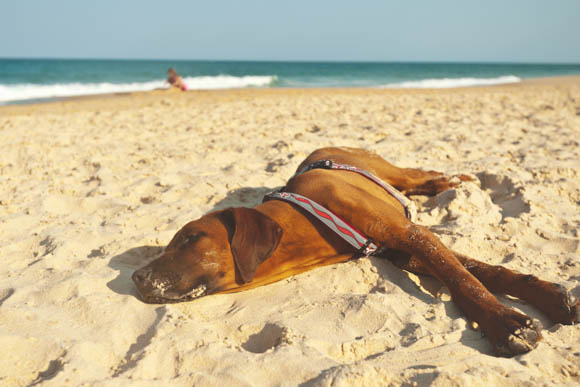 Luisteren op het strand
