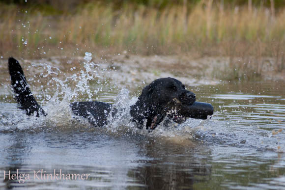 Workshop Waterwerk 3