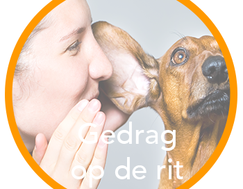 Gedrag op de rit