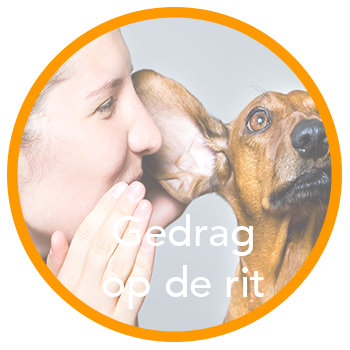 Gedrag op de rit