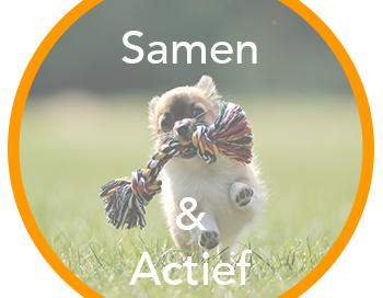 Samen en Actief