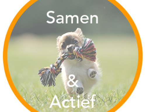 Samen & Actief