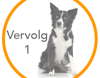 Vervolg 1