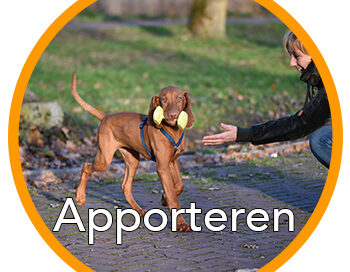 Apport 14 weken