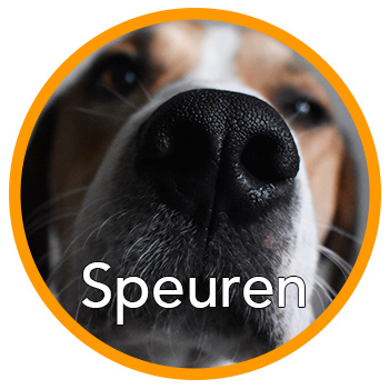 Cirkel Speuren