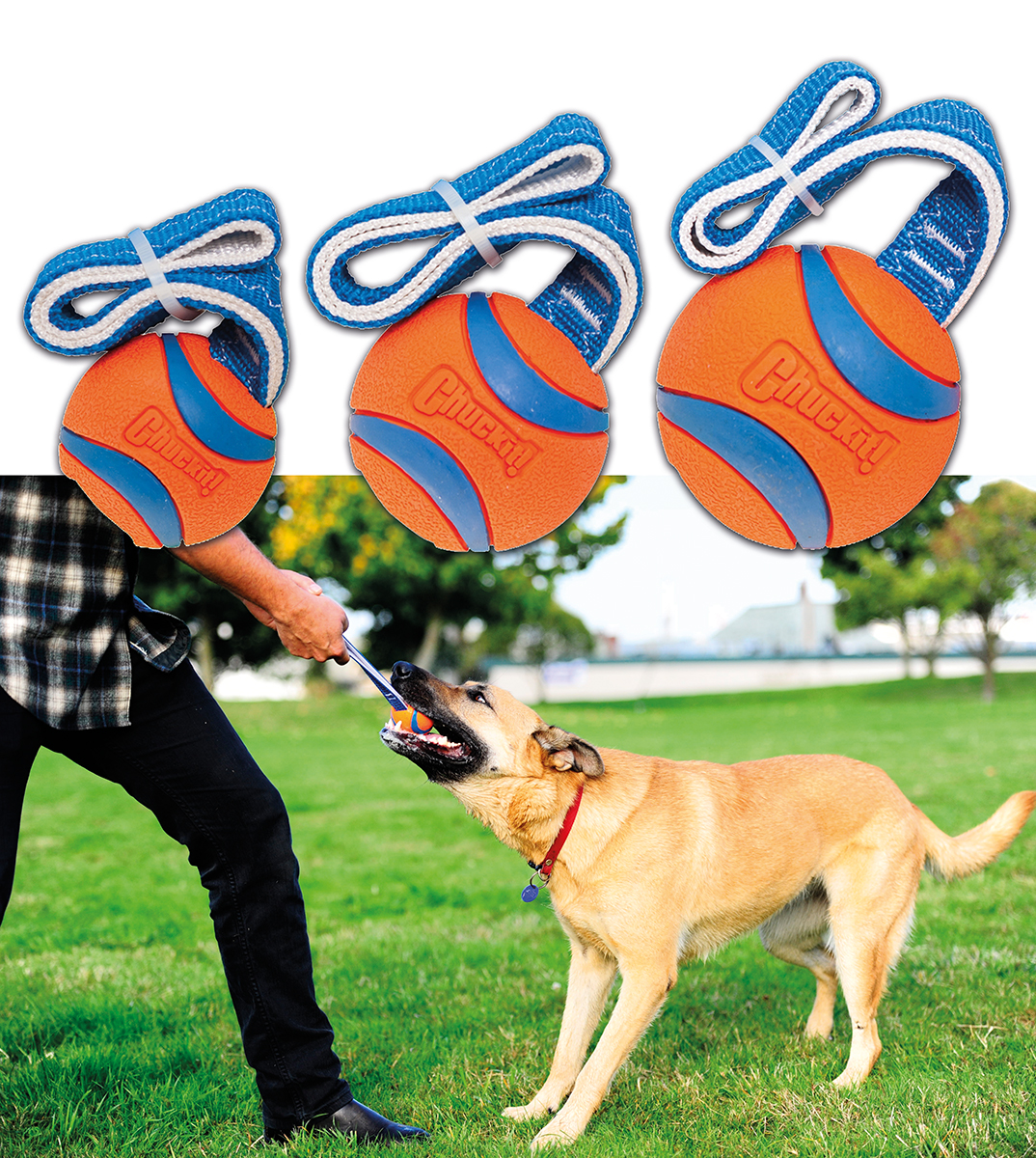 Chuckit Tugger