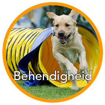 Cirkel Behendigheid
